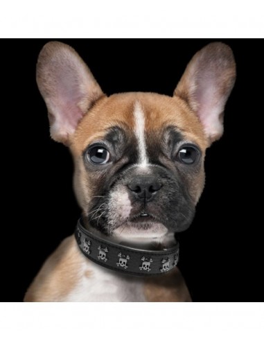 MILK & PEPPER COLLARE IN CUOIO CALAVERA BULLDOG PER CANI