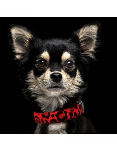 MILK & PEPPER COLLARE IN PELLE E CAVALLINO LEOPARDATO ROSSO