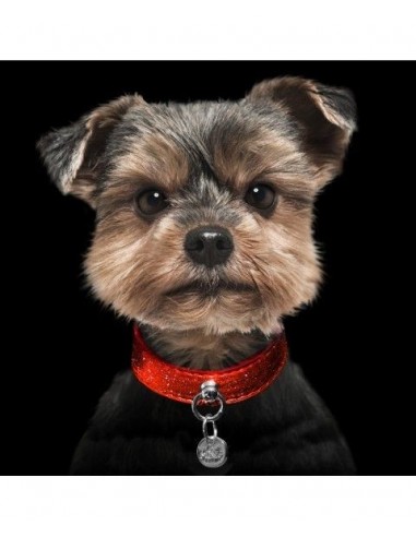 MILK & PEPPER COLLARE BRILLANTINI ROSSO PER CANI LUSSO