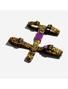 ZEEDOG PETTORINA AD H HONEY CANE LEOPARDATO 2