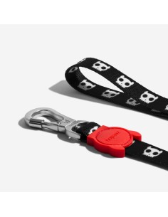 ZEEDOG GUINZAGLIO SKULL CANE TESCHIO 2