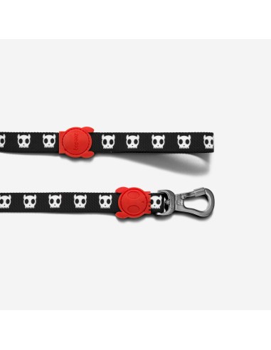 ZEEDOG GUINZAGLIO SKULL CANE TESCHIO