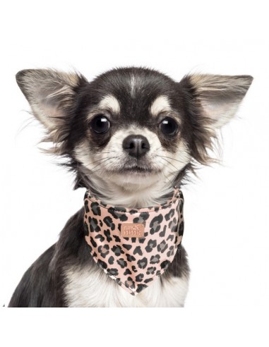 MILK & PEPPER SAFARA - BANDANA STAMPATA PER CANI