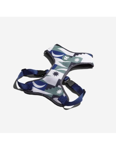 ZEEDOG PETTORINA A MAGLIA TAROT CANE