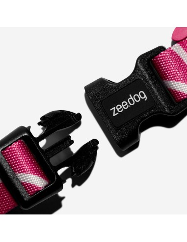 ZEEDOG PETTORINA AD H NARA CANE