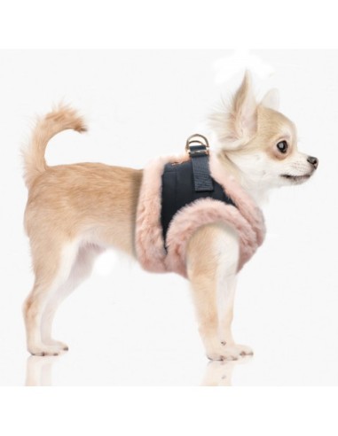 MILK & PEPPER TAMARA PETTORINA PIUMIMO ROSA PER CANI LUSSO