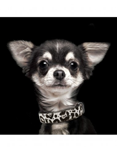 MILK & PEPPER COLLARE IN PELLE E CAVALLINO DALMATA BIANCO E NERO