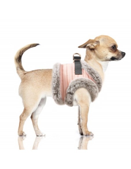 MILK & PEPPER ZORA PETTORINA PIUMIMO ROSA PER CANI LUSSO