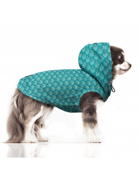 MILK & PEPPER ISAAC Raincoat Palmier Blue-green