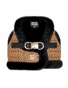 MILK & PEPPER KATOUN Harness Néo Panthère /Black