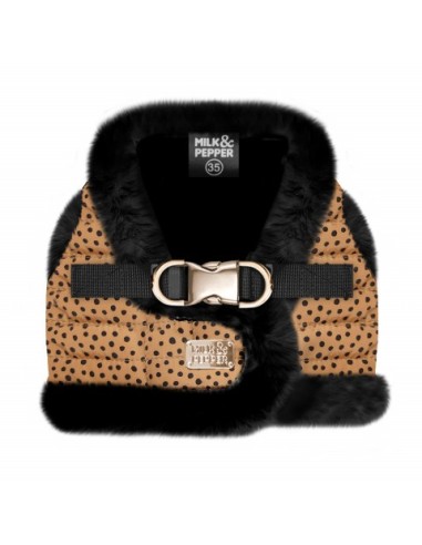MILK & PEPPER KATOUN Harness Néo Panthère /Black