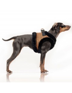MILK & PEPPER KATOUN Harness Néo Panthère /Black 2