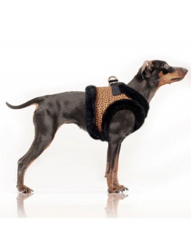 MILK & PEPPER KATOUN Harness Néo Panthère /Black