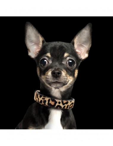 MILK & PEPPER LEOPARD Collar