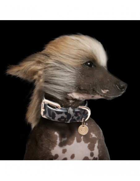 MILK & PEPPER PANTHERE grey Collar