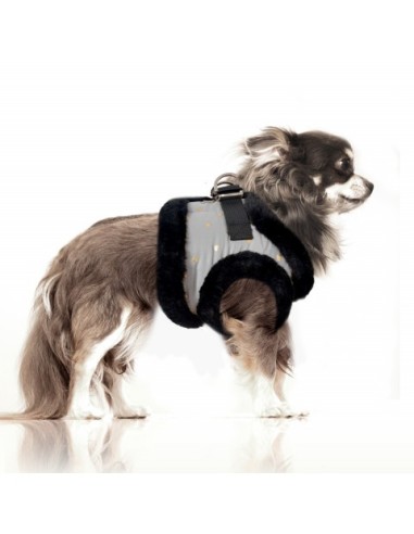 MILK & PEPPER HIKARI Harness Grey Golden Heart