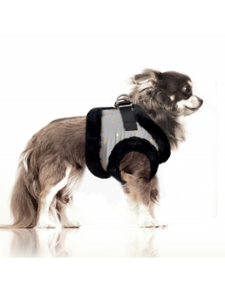 MILK & PEPPER HIKARI Harness Grey Golden Heart