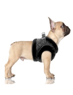 MILK & PEPPER JAKE Harness - Black 2