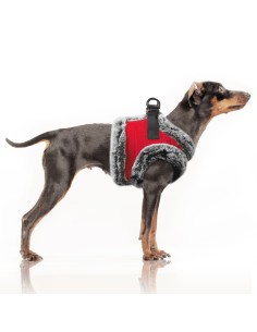 MILK & PEPPER MARKUS Harness - Red 2
