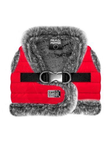 MILK & PEPPER MARKUS Harness - Red