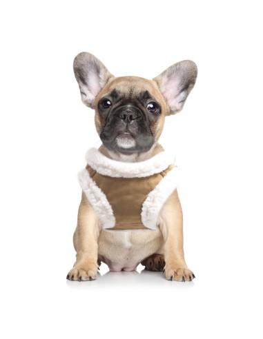 MILK & PEPPER DECLAN Harness - Camel