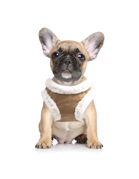 MILK & PEPPER DECLAN Harness - Camel