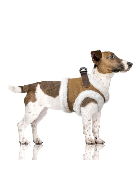 MILK & PEPPER DECLAN Harness - Camel