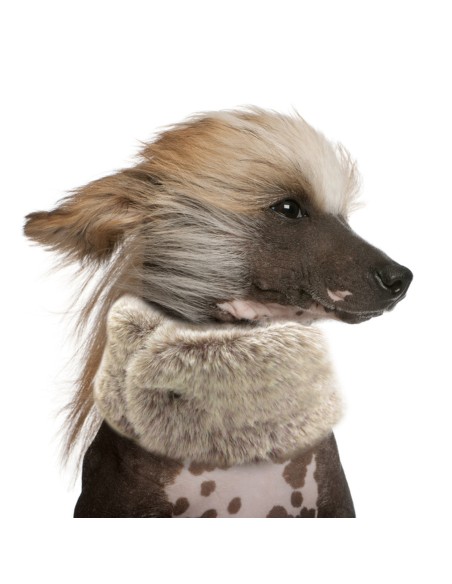 MILK & PEPPER KIRILL Snood - Beige