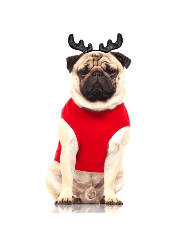 MILK & PEPPER NIKKO T-Shirt - Red