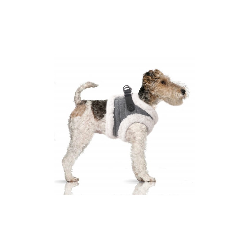 MILK & PEPPER IVAR Harness - Grey