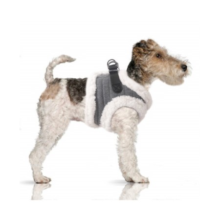 MILK & PEPPER IVAR Harness - Grey