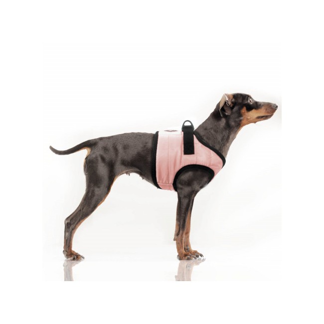 MILK & PEPPER MUSHER Harness - Pink 2