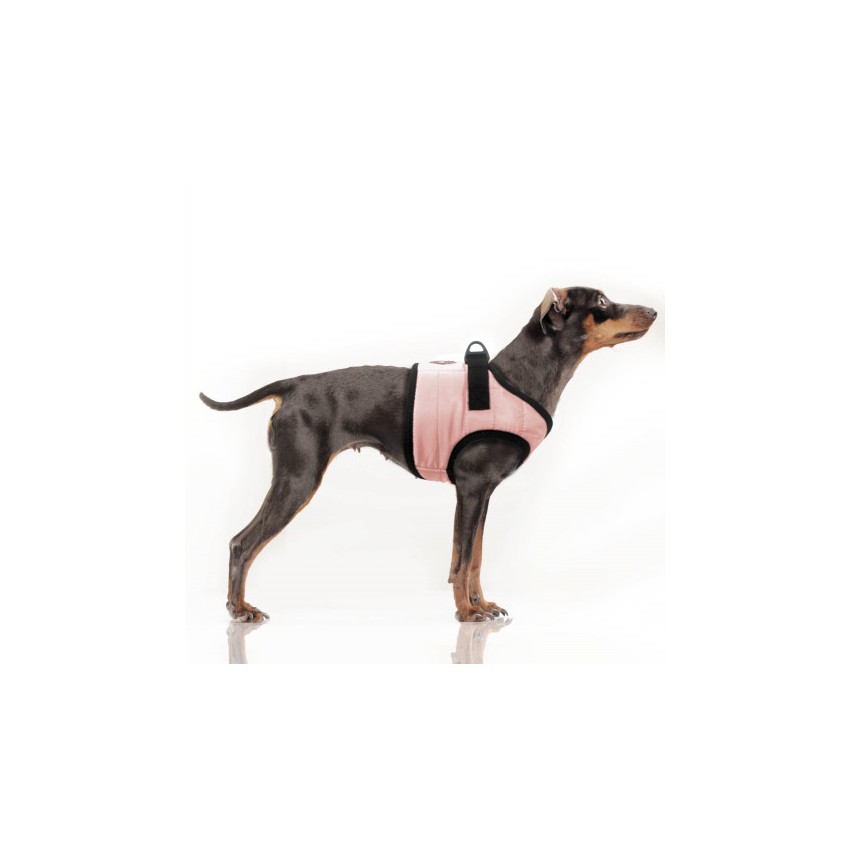 MILK & PEPPER MUSHER Harness - Pink