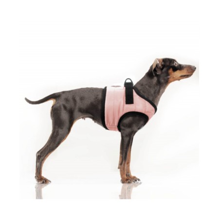 MILK & PEPPER MUSHER Harness - Pink