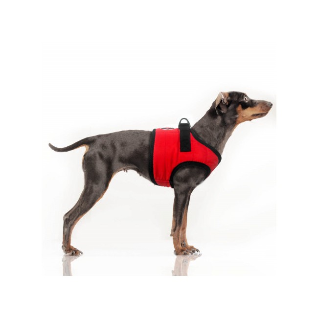 MILK & PEPPER MUSHER Harness - Red 2