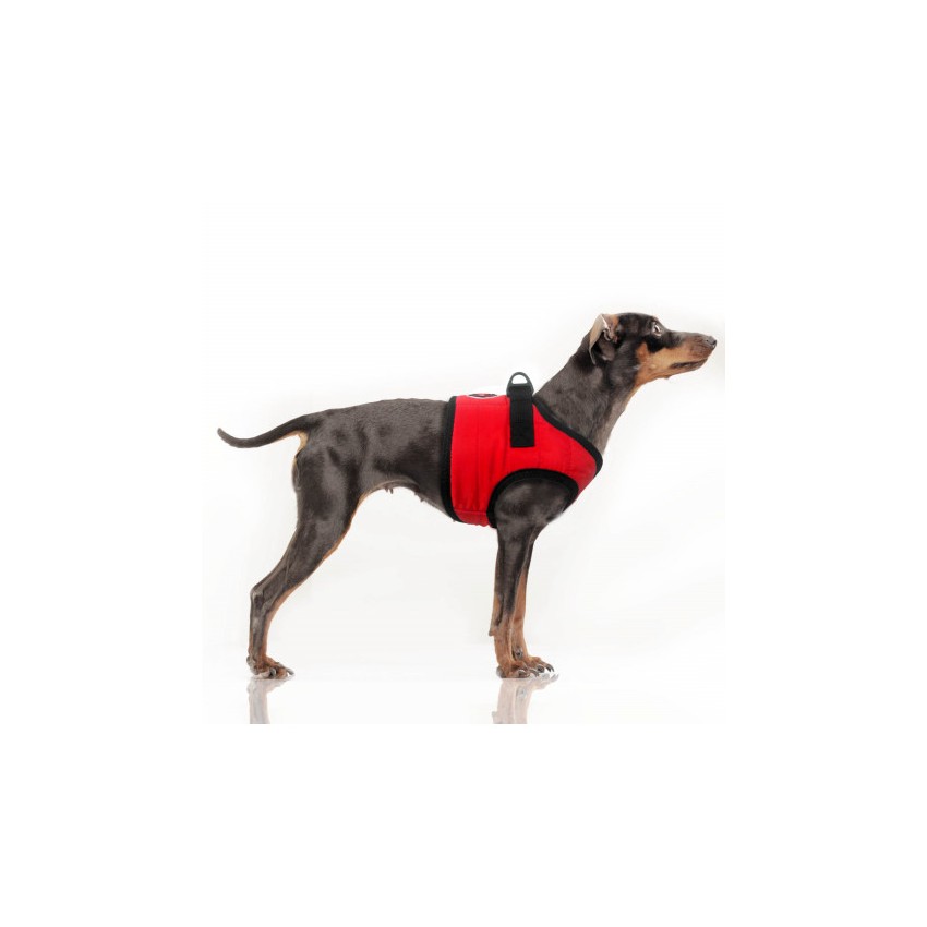 MILK & PEPPER MUSHER Harness - Red