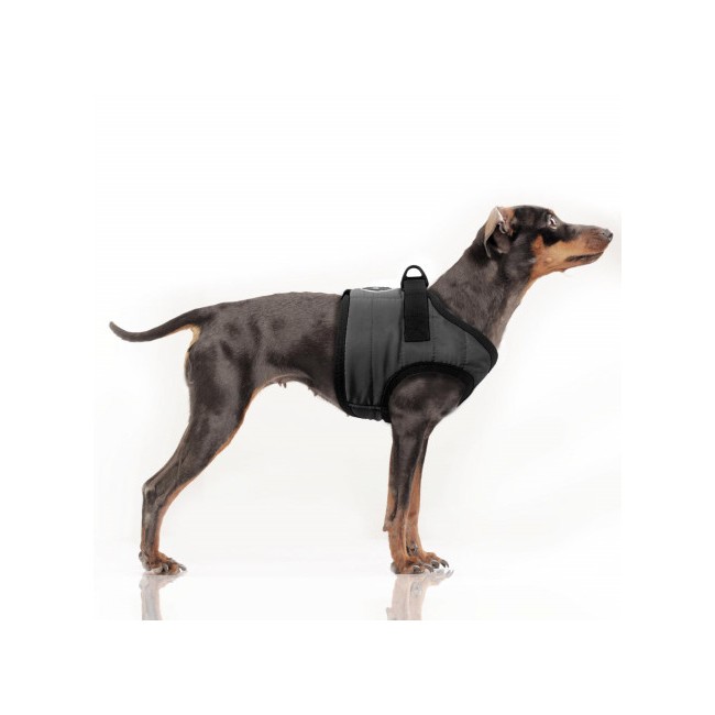 MILK & PEPPER MUSHER Harness - Grey 2