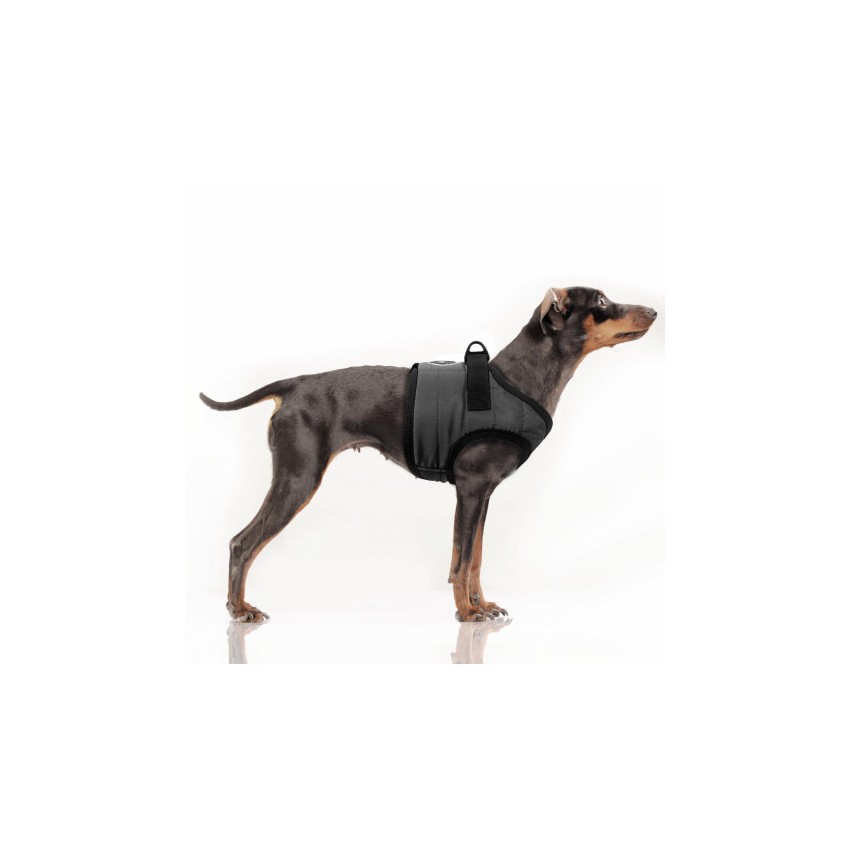 MILK & PEPPER MUSHER Harness - Grey