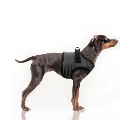 MILK & PEPPER MUSHER Harness - Grey