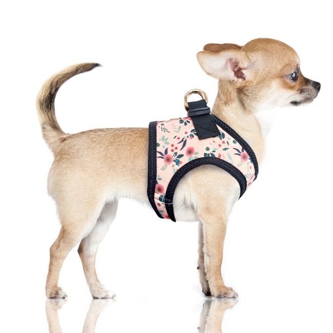 MILK & PEPPER ADELAÏDE Harness - Floral/Pink 2