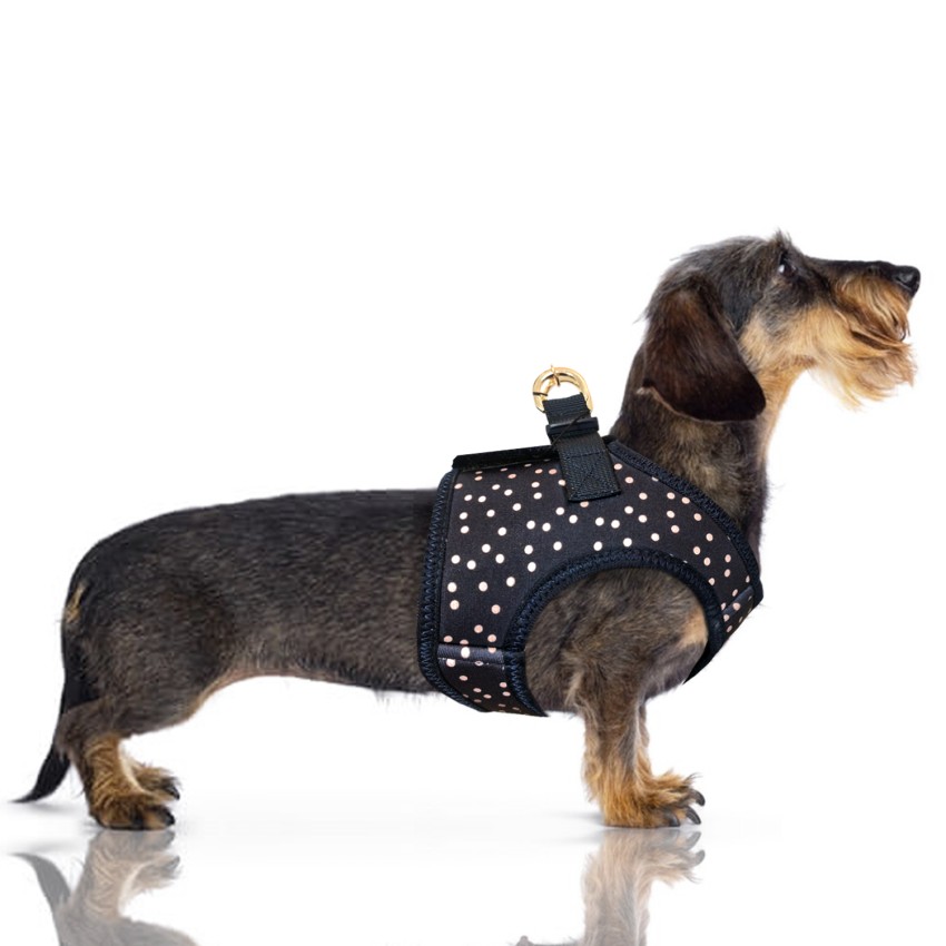 MILK & PEPPER AMBRE Harness - Blue