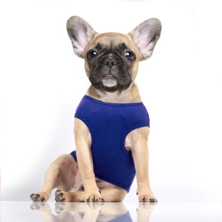 MILK & PEPPER NOAN T-Shirt - Blue