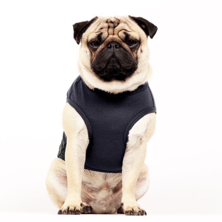 MILK & PEPPER HELOÏSE T-Shirt - Blue