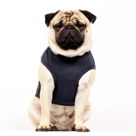 MILK & PEPPER HELOÏSE T-Shirt - Blue