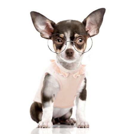 MILK & PEPPER JUSTINE T-Shirt - Pink