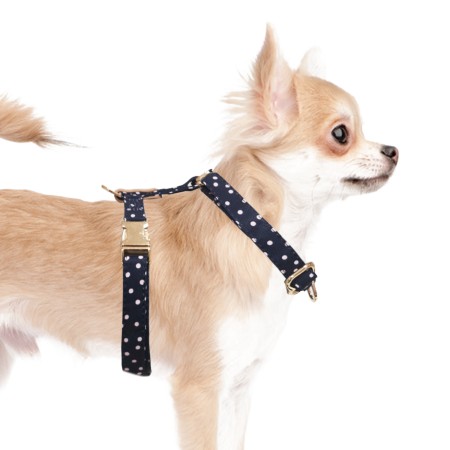 MILK & PEPPER ARIANE Harness - Blue