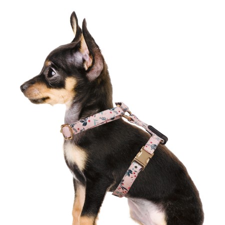 MILK & PEPPER AXELLE Harness - Pink