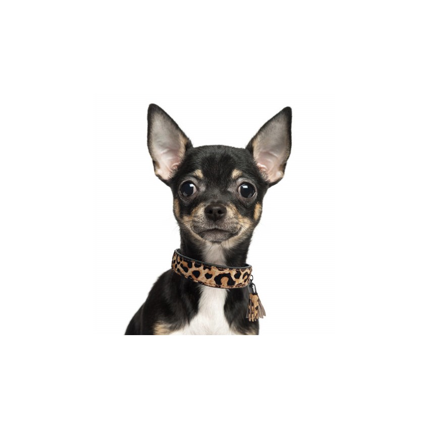 MILK & PEPPER COLLARE IN PELLE E CAVALLINO...