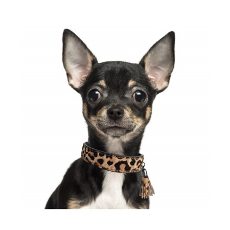 MILK & PEPPER COLLARE IN PELLE E CAVALLINO LEOPARDATO