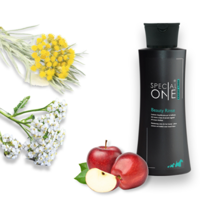 Beauty Rinse - Expert Line